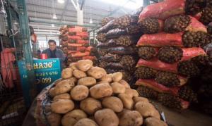 <span class='highlight'></span>H<span class='highlight'></span>a<span class='highlight'></span>y<span class='highlight'></span> <span class='highlight'></span>u<span class='highlight'></span>n<span class='highlight'></span>a<span class='highlight'></span> <span class='highlight'></span>t<span class='highlight'></span>e<span class='highlight'></span>n<span class='highlight'></span>d<span class='highlight'></span>e<span class='highlight'></span>n<span class='highlight'></span>c<span class='highlight'></span>i<span class='highlight'></span>a<span class='highlight'></span> <span class='highlight'></span>a<span class='highlight'></span>l<span class='highlight'></span> <span class='highlight'></span>e<span class='highlight'></span>x<span class='highlight'></span>c<span class='highlight'></span>e<span class='highlight'></span>s<span class='highlight'></span>o<span class='highlight'></span> <span class='highlight'></span>d<span class='highlight'></span>e<span class='highlight'></span> <span class='highlight'></span>a<span class='highlight'></span>b<span class='highlight'></span>a<span class='highlight'></span>s<span class='highlight'></span>t<span class='highlight'></span>e<span class='highlight'></span>c<span class='highlight'></span>i<span class='highlight'></span>m<span class='highlight'></span>i<span class='highlight'></span>e<span class='highlight'></span>n<span class='highlight'></span>t<span class='highlight'></span>o<span class='highlight'></span> <span class='highlight'></span>e<span class='highlight'></span>n<span class='highlight'></span> <span class='highlight'></span>l<span class='highlight'></span>o<span class='highlight'></span>s<span class='highlight'></span> <span class='highlight'></span>m<span class='highlight'></span>e<span class='highlight'></span>r<span class='highlight'></span>c<span class='highlight'></span>a<span class='highlight'></span>d<span class='highlight'></span>o<span class='highlight'></span>s<span class='highlight'></span> <span class='highlight'></span>q<span class='highlight'></span>u<span class='highlight'></span>e<span class='highlight'></span> <span class='highlight'></span>d<span class='highlight'></span>e<span class='highlight'></span>s<span class='highlight'></span>t<span class='highlight'></span>r<span class='highlight'></span>u<span class='highlight'></span>y<span class='highlight'></span>e<span class='highlight'></span> <span class='highlight'></span>l<span class='highlight'></span>o<span class='highlight'></span>s<span class='highlight'></span> <span class='highlight'></span>p<span class='highlight'></span>r<span class='highlight'></span>e<span class='highlight'></span>c<span class='highlight'></span>i<span class='highlight'></span>o<span class='highlight'></span>s<span class='highlight'></span>