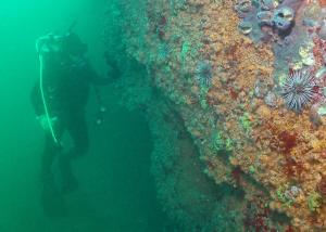 “Hemos producido suficiente plástico para causar efectos permanentes en el mar”