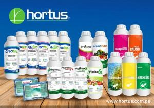Hortus: comprometido con una adecuada nutrición a las plantas