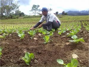Hoy instalan Grupo de Desarrollo Agrario Sostenible para potenciar el campo