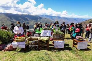 Huancavelica: más de 140 mil personas mejorarán calidad de vida con emprendimientos agrícolas impulsados en 51 tambos