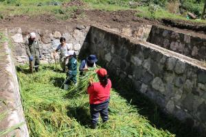 Huancavelica: trabajan en conservación de forraje para épocas de sequía