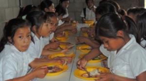 Huancayo: escuelas comprarán más de 3 mil kilos de hortalizas semanales a pequeños agricultores