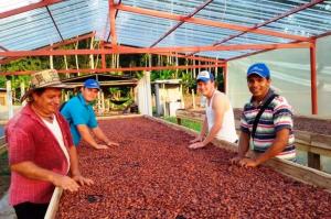 HUÁNUCO: CACAO Y DERIVADOS REPRESENTAN EL 96% DE LAS EXPORTACIONES NO TRADICIONALES