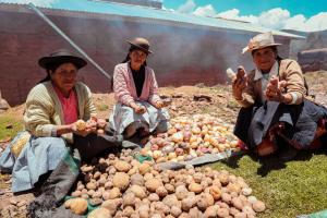 Huánuco: entregarán maquinarias y fertilizantes a productores agrícolas de papa