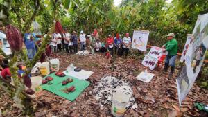 Huánuco: más de 120 productores participaron en jornada técnica cacaotera en el Monzón