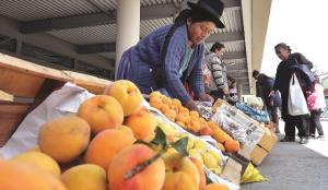 Huánuco: productores de durazno y granadilla serán capacitados sobre uso del guano de las islas y manejo de riego tecnificado