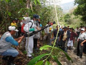 IMPLEMENTAN PLAN DE ACCIÓN CONTRA LA ROYA EN SELVA CENTRAL Y VRAEM