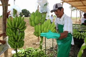 IMPLEMENTARÁN SISTEMA DE ALERTA PARA PROTEGER CULTIVOS ORGÁNICOS