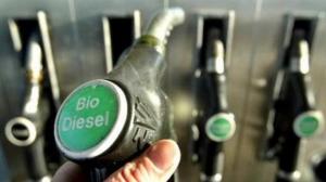 Importación de biodiesel de países asiáticos paraliza producción nacional