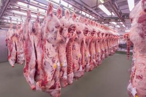 Importación de carne de cerdo se redujo 4.4% en el primer trimestre del año