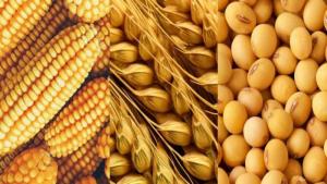 Importaciones agropecuarias por parte de Perú ascendieron a US$ 3.353 millones en la primera mitad del 2025