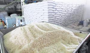 Importaciones de arroz cayeron 30% en los primeros ocho meses del año