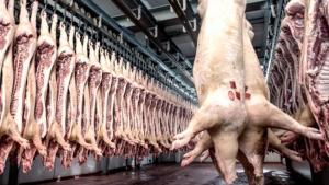 Importaciones de carne de cerdo crecieron 8.42% entre enero y septiembre del presente año