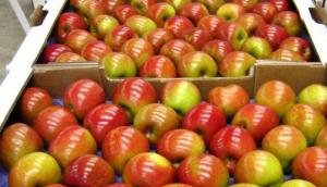 Importaciones de manzanas llegaron a valores de US$ 29.6 millones