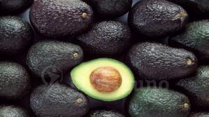 Importaciones de palta por parte de India crecieron  11.585% entre 2014/2015 y 2023/2024