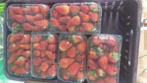 Importaciones mundiales de fruta congelada sumaron US$ 7.718 millones en 2024