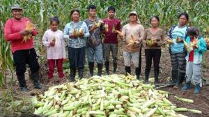 Impulsan desarrollo agrícola en la frontera peruano-colombiana