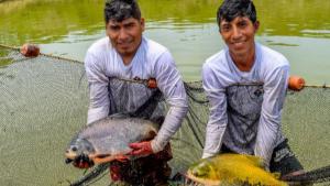 Impulsarán la acuicultura en la zona del VRAEM con nueva unidad técnica especializada