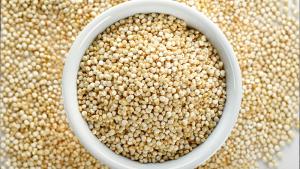 Inacal aprueba dos nuevas normas técnicas para impulsar la competitividad de la quinua peruana