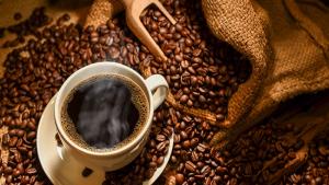 Inacal impulsa calidad del café con 38 normas técnicas