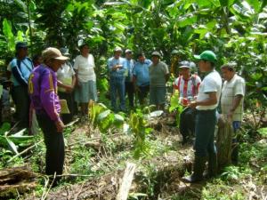 <span class='highlight'></span>I<span class='highlight'></span>N<span class='highlight'></span>C<span class='highlight'></span>E<span class='highlight'></span>N<span class='highlight'></span>T<span class='highlight'></span>I<span class='highlight'></span>V<span class='highlight'></span>A<span class='highlight'></span>N<span class='highlight'></span> <span class='highlight'></span>C<span class='highlight'></span>O<span class='highlight'></span>O<span class='highlight'></span>P<span class='highlight'></span>E<span class='highlight'></span>R<span class='highlight'></span>A<span class='highlight'></span>T<span class='highlight'></span>I<span class='highlight'></span>V<span class='highlight'></span>A<span class='highlight'></span>S<span class='highlight'></span> <span class='highlight'></span>D<span class='highlight'></span>E<span class='highlight'></span> <span class='highlight'></span>A<span class='highlight'></span>G<span class='highlight'></span>R<span class='highlight'></span>I<span class='highlight'></span>C<span class='highlight'></span>U<span class='highlight'></span>L<span class='highlight'></span>T<span class='highlight'></span>O<span class='highlight'></span>R<span class='highlight'></span>E<span class='highlight'></span>S<span class='highlight'></span> <span class='highlight'></span>E<span class='highlight'></span>N<span class='highlight'></span> <span class='highlight'></span>S<span class='highlight'></span>E<span class='highlight'></span>I<span class='highlight'></span>S<span class='highlight'></span> <span class='highlight'></span>D<span class='highlight'></span>I<span class='highlight'></span>S<span class='highlight'></span>T<span class='highlight'></span>R<span class='highlight'></span>I<span class='highlight'></span>T<span class='highlight'></span>O<span class='highlight'></span>S<span class='highlight'></span> <span class='highlight'></span>D<span class='highlight'></span>E<span class='highlight'></span> <span class='highlight'></span>B<span class='highlight'></span>A<span class='highlight'></span>G<span class='highlight'></span>U<span class='highlight'></span>A<span class='highlight'></span>