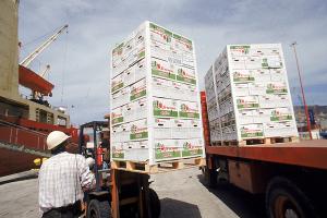 India le abre la puerta al arándano y a la palta de Chile