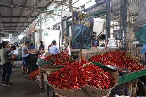 INEI: Precios al consumidor de Lima Metropolitana subieron 0,23% en enero de 2023