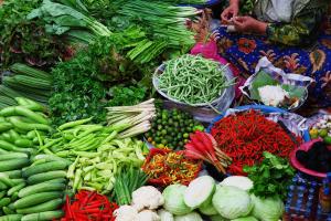 Informe científico sugiere dieta global que beneficiaría salud humana y preservación del ambiente