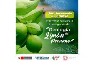 Ingemmet estudiará geología del limón peruano el próximo año