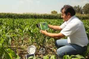 INIA aplica sensores remotos para medir la  calidad de suelos agrícolas