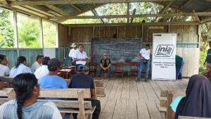 INIA busca mejorar la calidad en la producción de pastos y forrajes para ganado vacuno en Ucayali