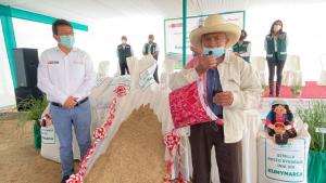 INIA desarrolla primer superpasto ryegrass con alta calidad genética para alimentación de ganado