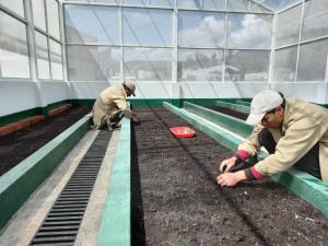 INIA incrementará producción de semillas de papa certificadas con moderno laboratorio en Ayacucho