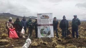 INIA instala parcela demostrativa para producir avena forrajera para ganado con calidad en Junín