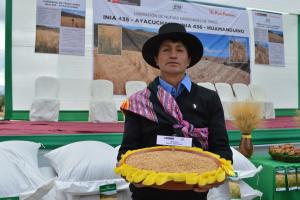 INIA libera dos nuevas variedades de trigo con mayor rendimiento y calidad que mejorarán competitividad agraria