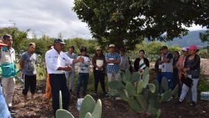 INIA transfiere metodologías para conservar la calidad de la Tuna en Ayacucho