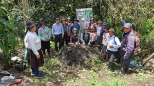 INIA transfiere tecnologías agrarias para mejorar la calidad del cultivo del palto en Junín
