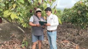 INIA transfiere tecnologías para conservar calidad del suelo agrario en cultivos de cacao en Jaén