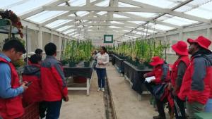 INIA transfiere tecnologías para mejorar calidad del cuy y hortalizas hidropónicas en comunidad de San José de Quero