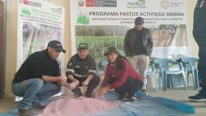 Inician campaña de siembra de pastos y forrajes 2023 – 2024 en Amazonas y San Martín
