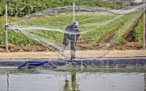 Inician capacitación sobre concurso de proyectos para sector pesquero y acuícola