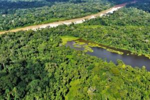 Iniciativa de CAF permitirá proteger 300.000 hectáreas de bosques amazónicos