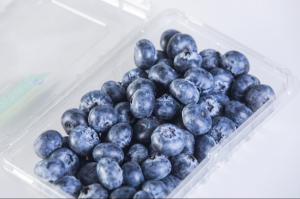 Inka ́s Berries, Global Genetics & Growers lanza al mercado dos nuevas variedades de arándanos este 2024