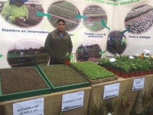Innova Ambiental produce 200 mil flores mensuales