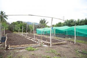 Instalan en Satipo vivero forestal para propagación del bambú