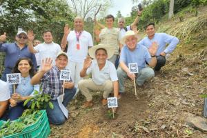 Instalan primera plantación de café con código QR en Cajamarca