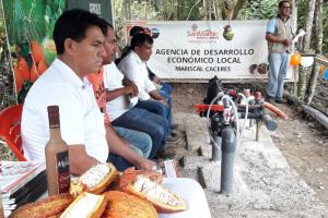 Instalan sistema de fertirriego en parcelas de cacao para aumentar la productividad