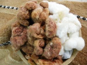 INSTALARÁN PLANTA DESMOTADORA DE ALGODÓN NATIVO