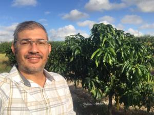 Investigación, pilar fundamental para la sustentabilidad de la Industria del Mango
